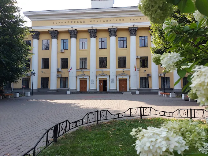 Voronezh State Medical University Named after N. N. Burdenko
